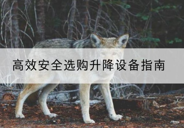 林周升降货梯厂家推荐-*安全选购升降设备指南