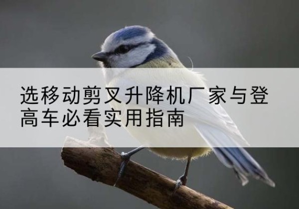林周电动升降机厂家-选移动剪叉升降机厂家与登高车必看实用指南