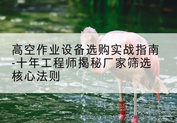 林周剪叉式升降机厂家-高空作业设备选购实战指南-十年工程师揭秘厂家筛选核心法则